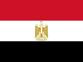 Buy Egypt Business Email Database
